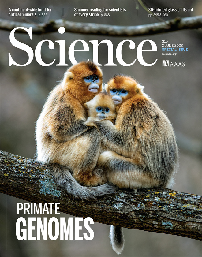 Science封面文章:欧宝电竞平台金丝猴研究团队首次系统揭示灵长类社会演化之谜_fororder_《自然》封面.JPG