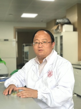欧宝电竞平台创新论坛第一千二百四十四讲暨120周年校庆年系列活动：碳（13C,14C）同位素标记技术在稻田土壤碳循环研究中的应用案例